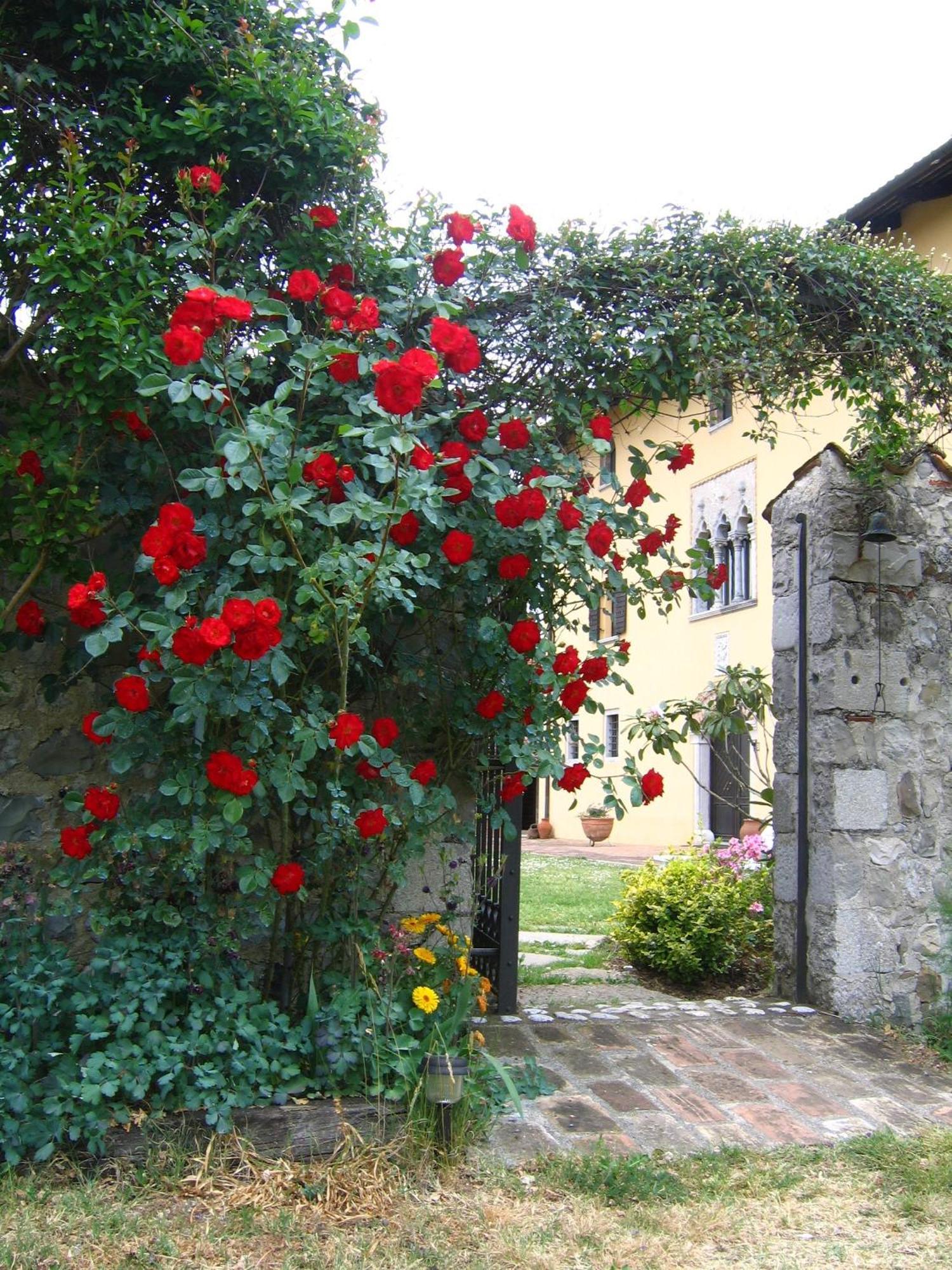 Agriturismo Domus Magna Povoletto Extérieur photo